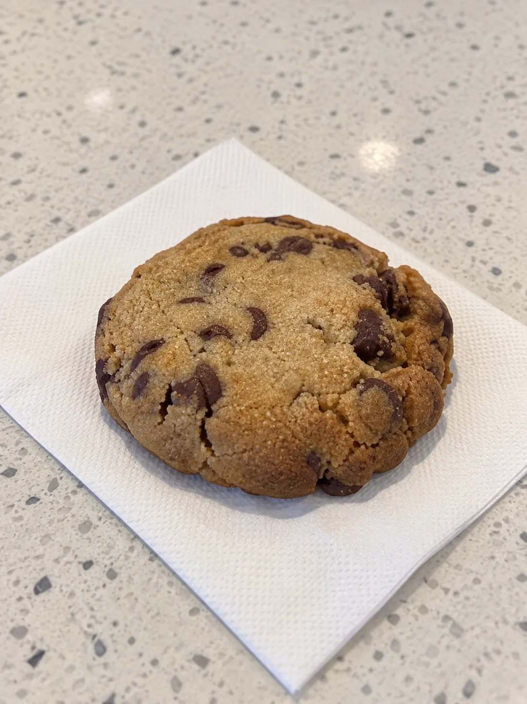 Fresh chocolate chip cookie at BubbleBrew